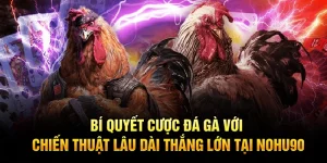 Bí quyết cược đá gà với chiến thuật lâu dài