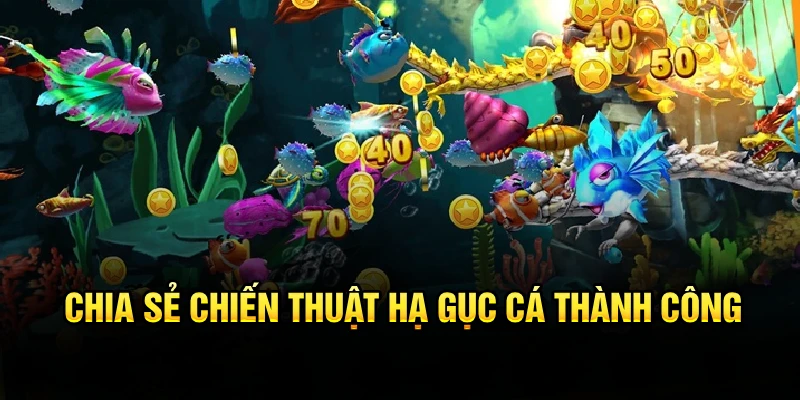 Chia sẻ chiến thuật hạ gục cá thành công