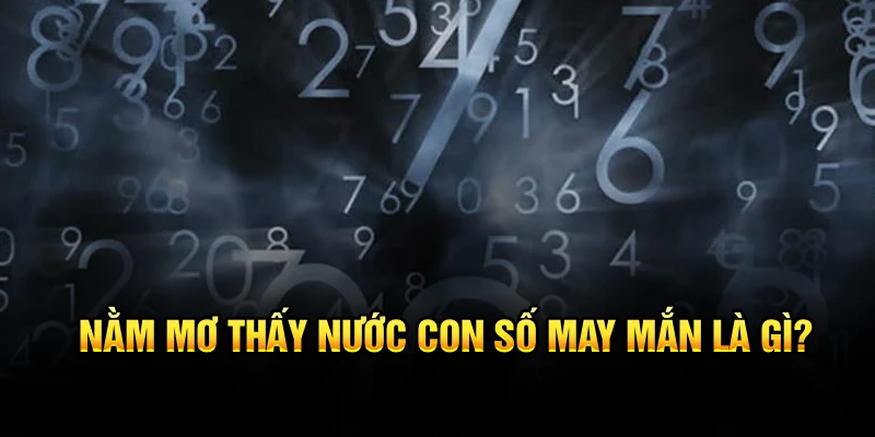 Nằm mơ thấy nước con số may mắn là gì?