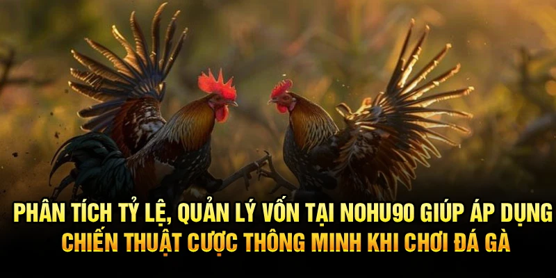 Phân tích tỷ lệ, quản lý vốn tại Nohu90 giúp áp dụng chiến thuật cược thông minh khi chơi đá gà