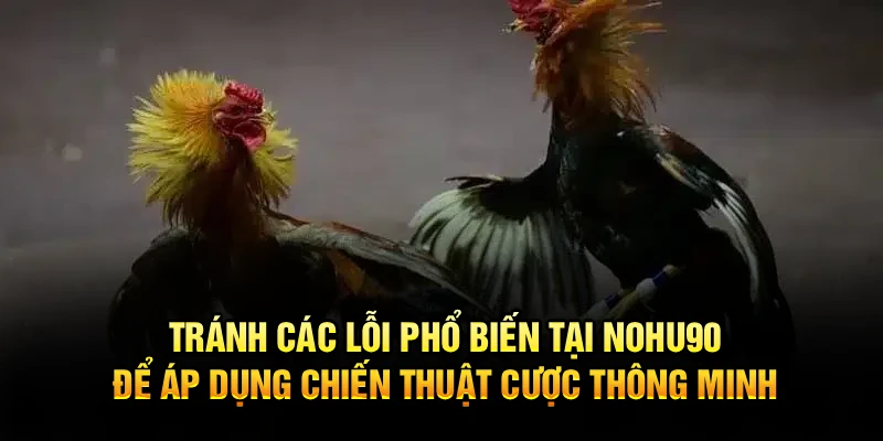 Tránh các lỗi phổ biến tại Nohu90 để áp dụng chiến thuật cược thông minh